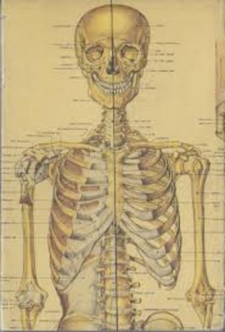 First Anatomy Book was published