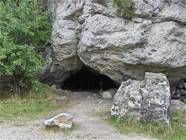 Brian starts surviving