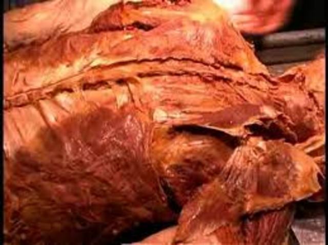 frist dissction of human coprse