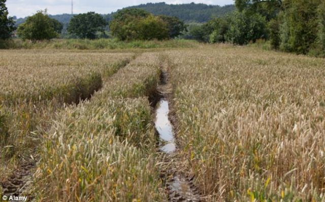 Cause #3 of the French Revolution