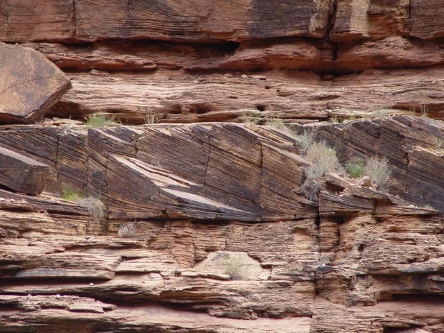 Origin of Toroweap Formation