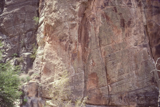Origin of Coconino Sandstone