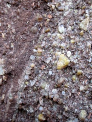 Origin of Tapeats Sandstone