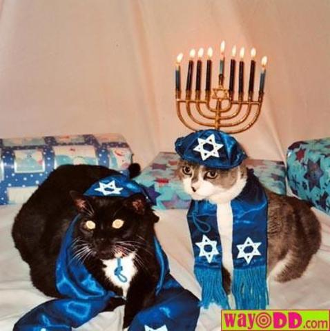 Jewish People Begin to Migrate back to Israel