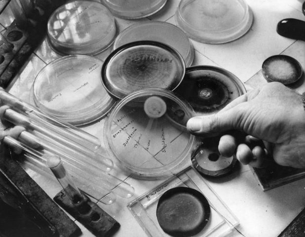 Sir Alexander Fleming discovered penicillin.