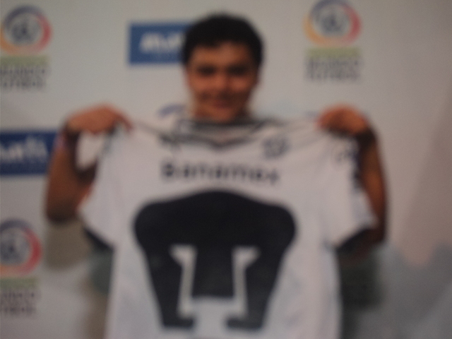 PUMAS 2011