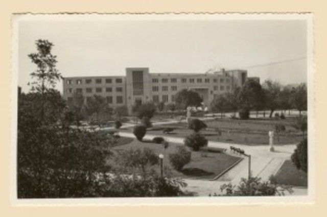 se creó la Universidad de Concepción