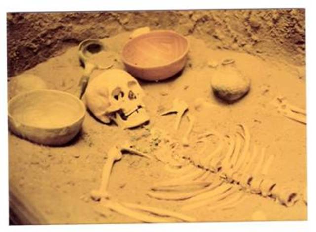 Native American Graves Protection and Repatriation Act