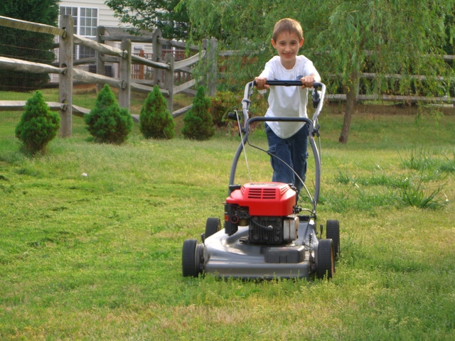 Corté el cesped solo en 2006