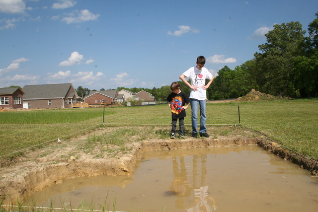 Empecé mi jardín con mi hermano en 2010
