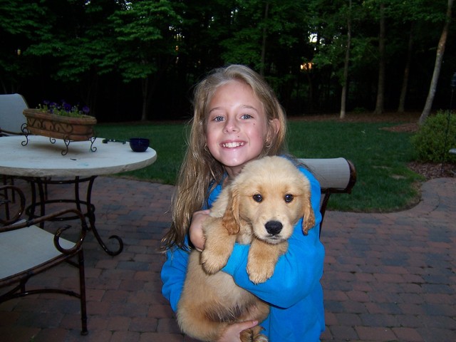 Mi familia y yo compramos un nuevo cachorro en 2006.