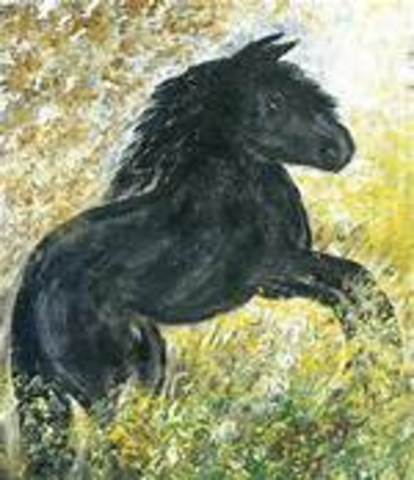 I get my first pony, Midnight