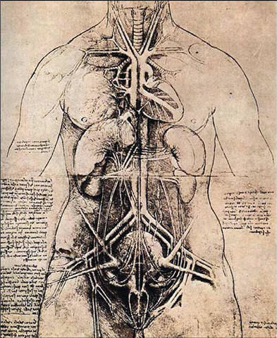 Leonardo da Vinci disects Corpses