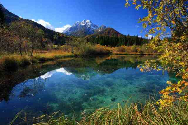 Roosevelt Establishes Natural Reservations