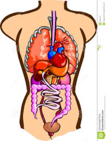 First Organ Transplant