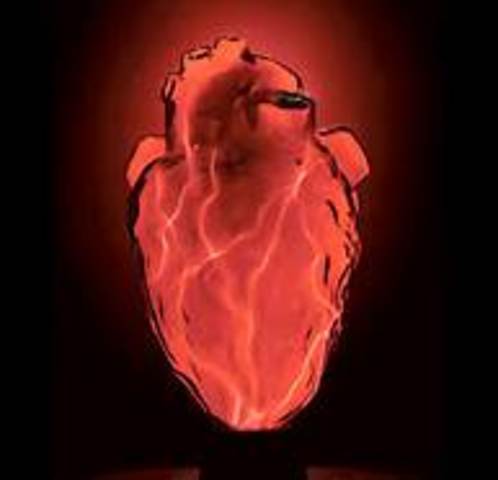 First Heart transplant