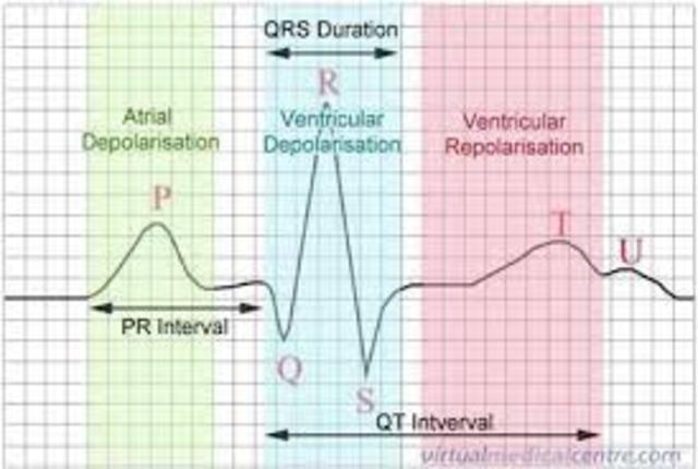 Willem Einthoven discovers electrocardiography (ECG/EKG)