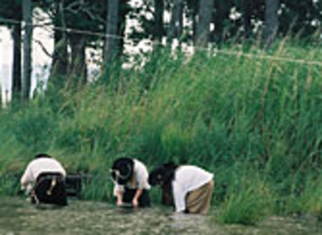 Sickness plagues the pilgrims