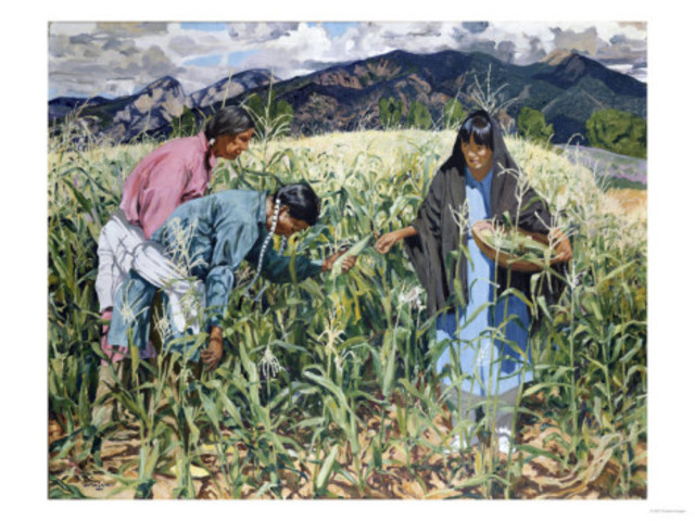 Social organization of property and economics at Plymouth