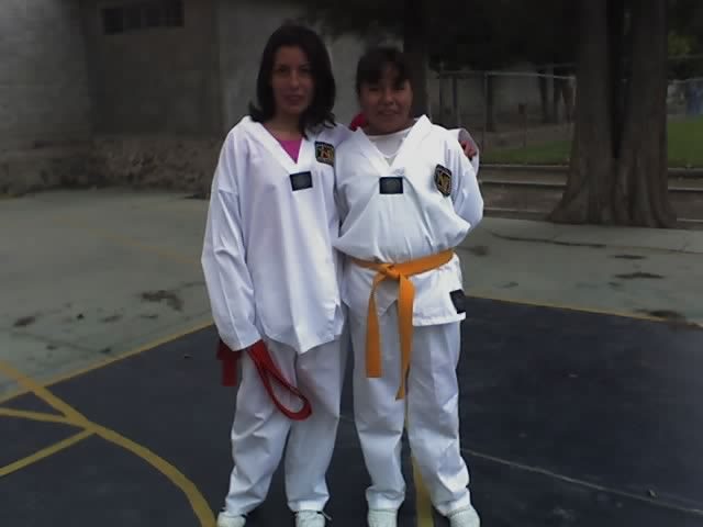 Ingreso a tae - kwondo