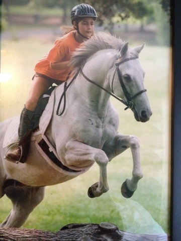 Recibí mi caballo en 2004.