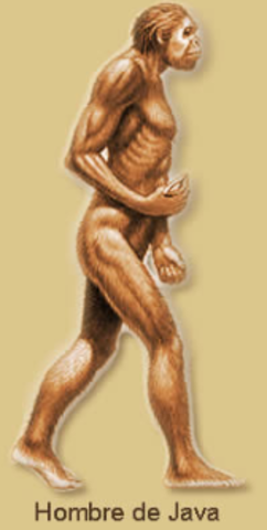 Hombre de Java