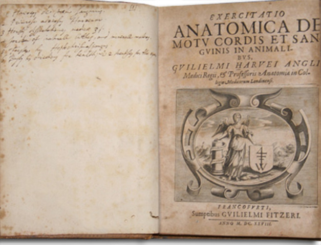 Circulation of Blood