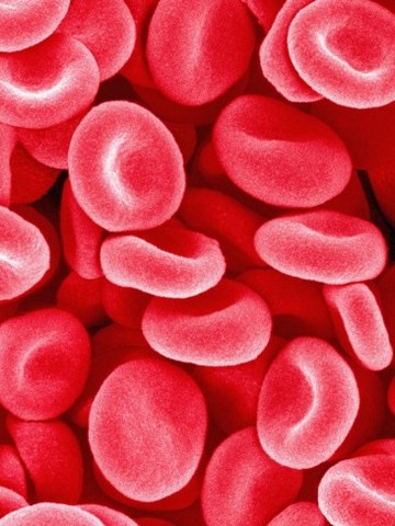 Blood Cells