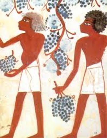 Earliest Accurate Health Records