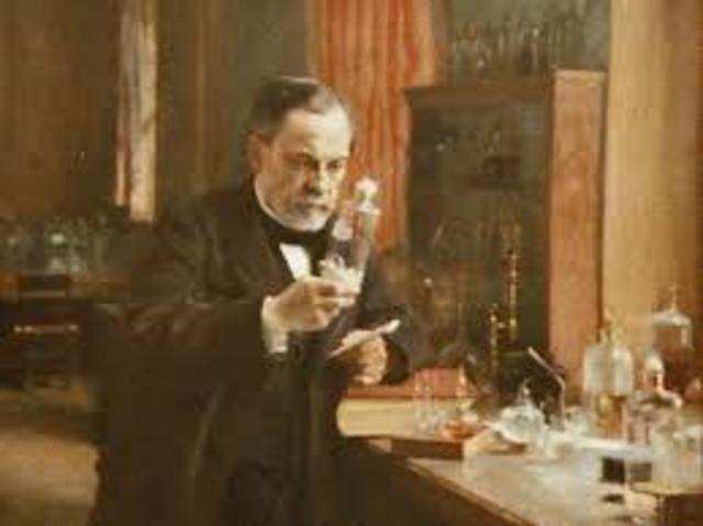 Pasteurize milk to kill bacteria