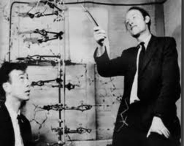 Francis Crick and James Watson