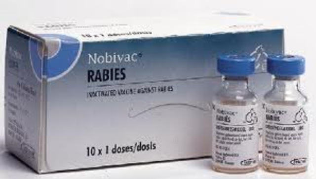 Rabies vaccine discovered