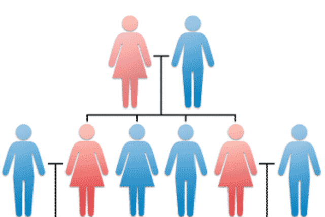 Gregory Mendel, Established the patterns of heredity