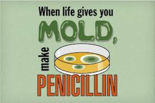 Penicillin