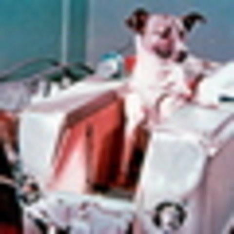 Laika the Dog is sent to outer space.