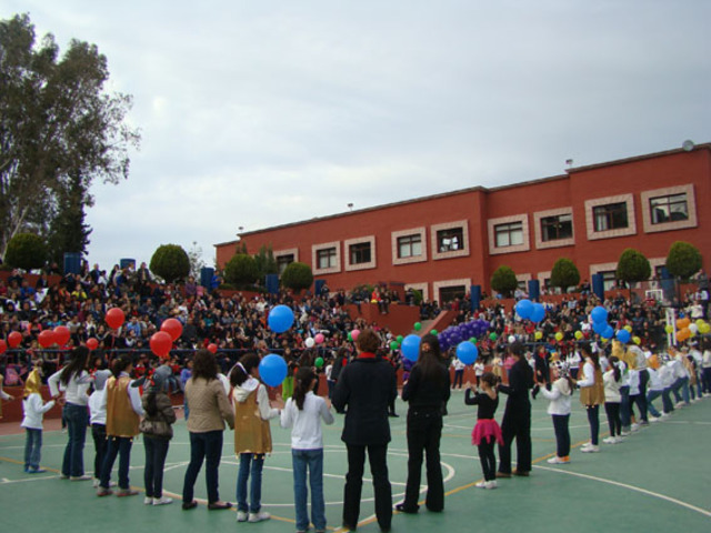 Primaria