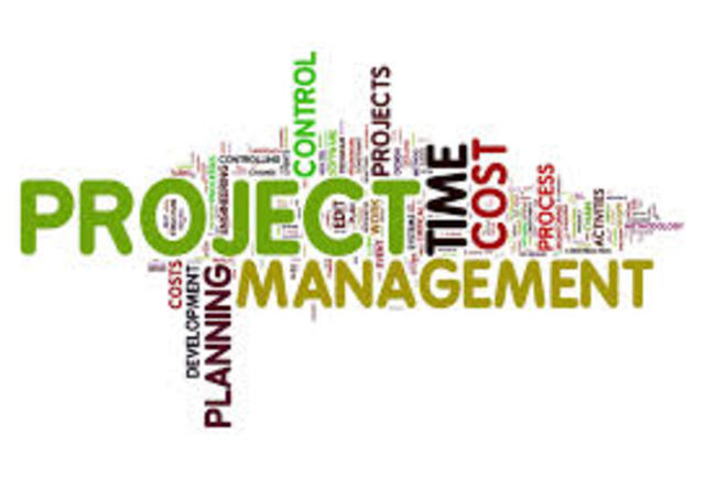 Diplomado en project management
