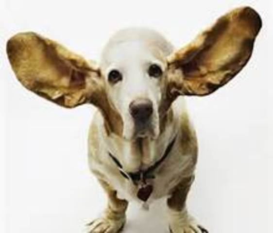 When I got my ear tubes