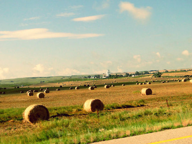 Saskatchewan and Alberta join Canada