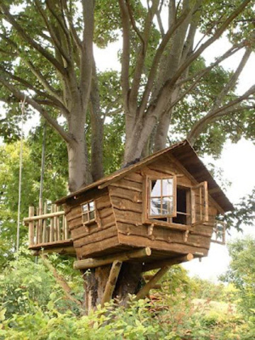 Construcción con papá de la casa del árbol