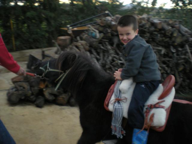 ¡El mejor regalo de cumple!