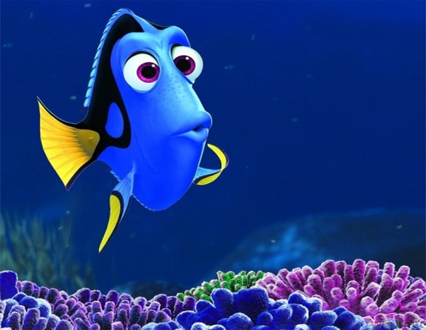 Estreia o filme Procurando o Nemo