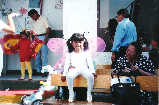 Mariposa en el festival de primavera