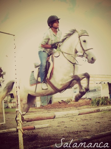 Entro a clases de equitacion