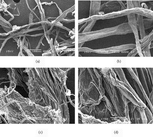 Textiles orgánicos.