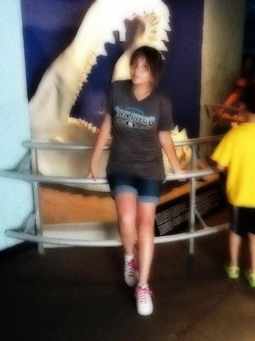 Viaje a San Diego California