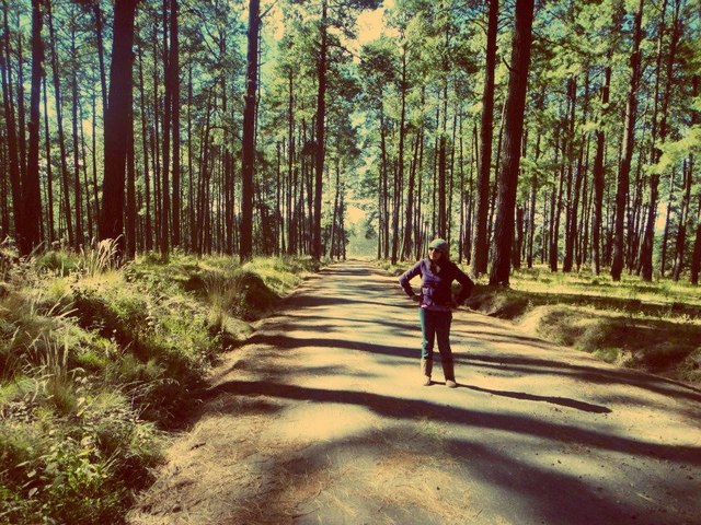 Viaje a Pico de Orizaba