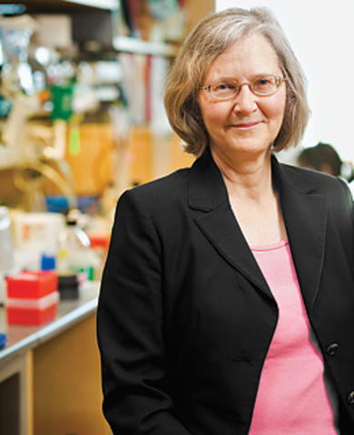 The Birth of Elizabeth Blackburn