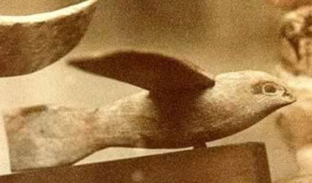 First Idea of the Aeroplane