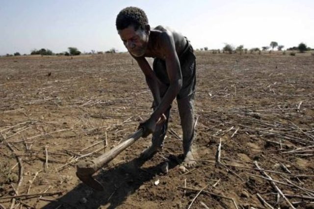 Sequía y plagas combinadas con guerras en Etiopía